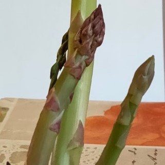 prosciutto asparagi